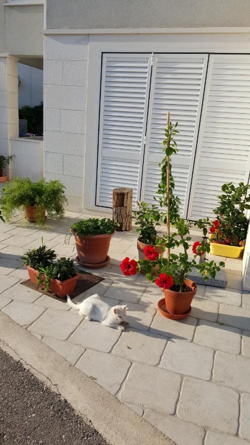 Apartments Pojko Dubrovnik Exterior foto